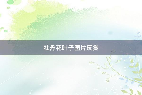 牡丹花叶子图片玩赏