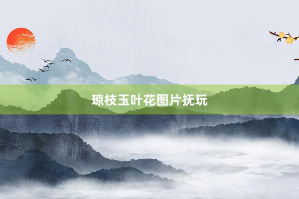 琼枝玉叶花图片抚玩
